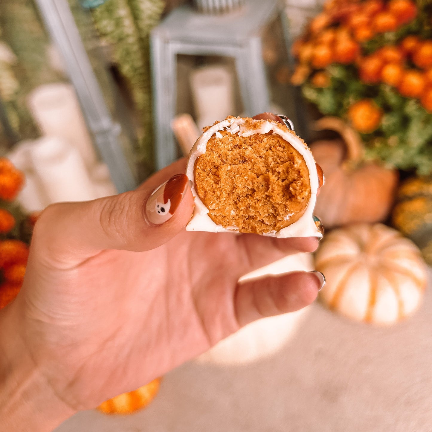 October 11/12 - Box of 6 Pumpkin Cheesecake Truffles