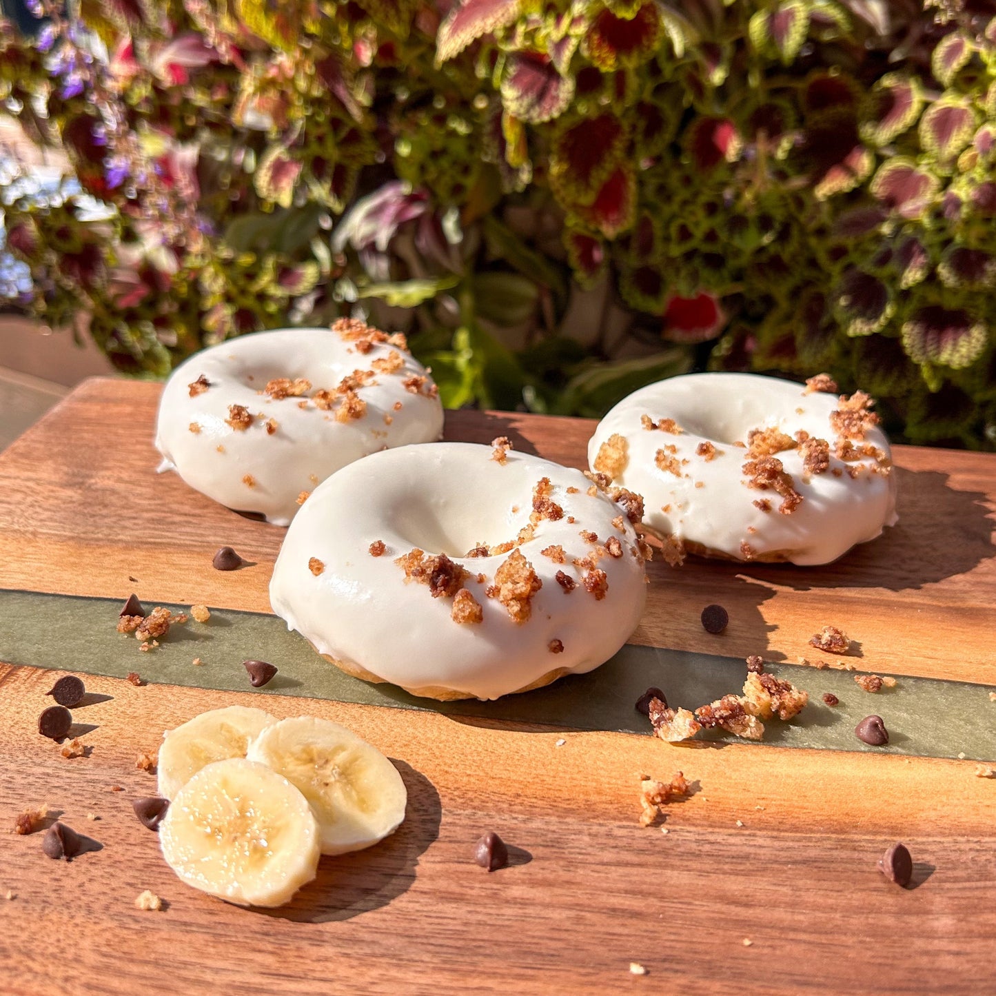 September 15 - Choconana